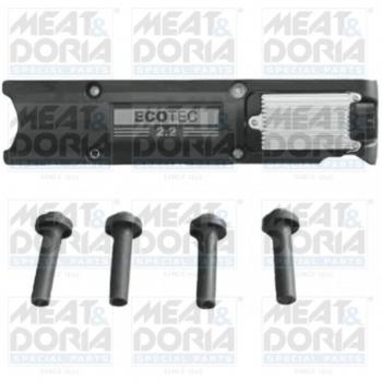 FuelFlow Coil 10481