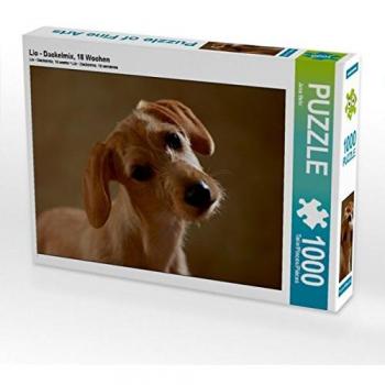 Lio Dackel‑Puzzle 1000 Stück – 18 Wochen, 64 × 48 cm (Jana Behr Bild)
