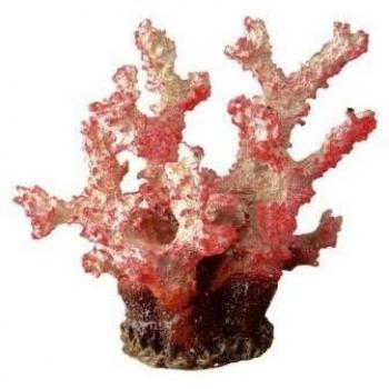 Azure Coral 9133