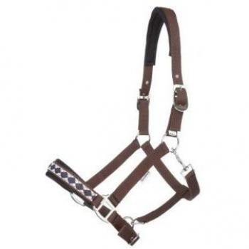 Classic Perlon Halter for Horses