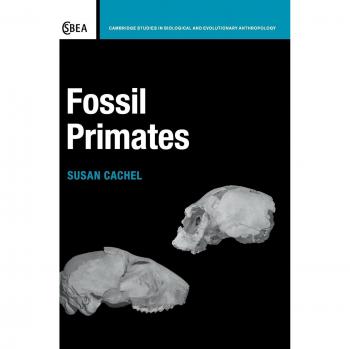 Fossil Primates (Cambridge Studies in Biological and Evolutionary Anthropology, Band 70)