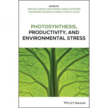 Photosynthesis Productivity and Environmental Stress