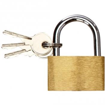 MountainGuard Padlock