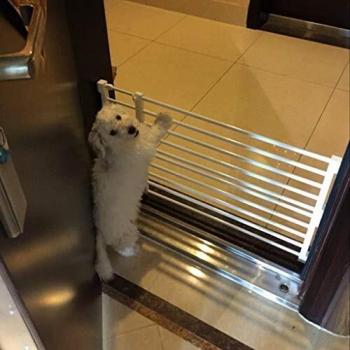 Puerta Retráctil para Perros y Gatos