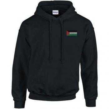 PixelForma Mixed Gender Palestinian Flag Hoodie