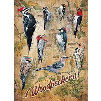 Woodpecker Paradise 500-Piece Puzzle