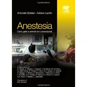 Anestesia cane, gatto e animali non convenzionali