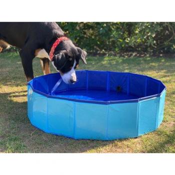 BURI Schwimmbecken für Hunde 80x20cm