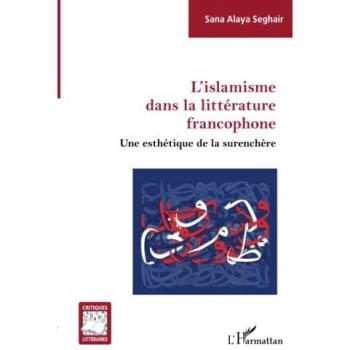 L'islamisme dans la littérature francophone