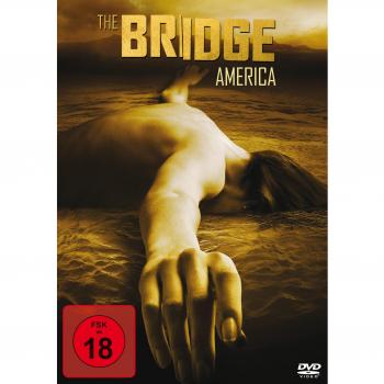 The Bridge