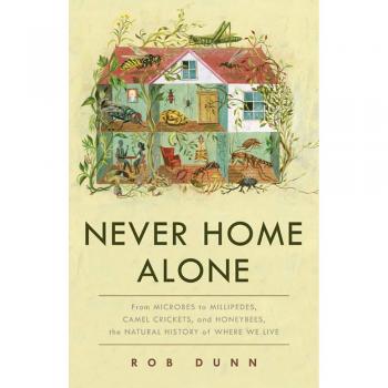 Never Home Alone