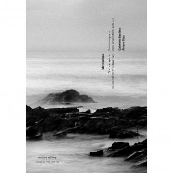 Matosinhos. Non c'è spazio né architettura senza luce. Catalogo della mostra (Reggio Emilia, 6 maggio-29 luglio 2017). Ediz. italiana, inglese e portoghese. Con Poster