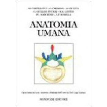 Anatomia umana