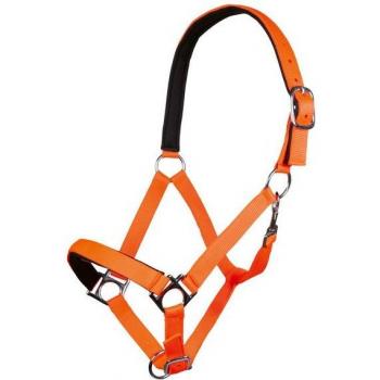 CobStar SoftPadding Collar – Neon Orange