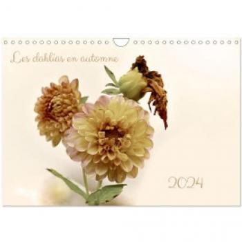 Les dahlias en automne (Calendrier mural 2024 DIN A4 horizontal), CALVENDO calendrier mensuel