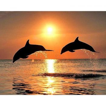 5D-Diamantstickerei: Delfin-Design