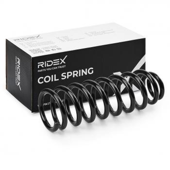 Molle RIDEX 188C1189