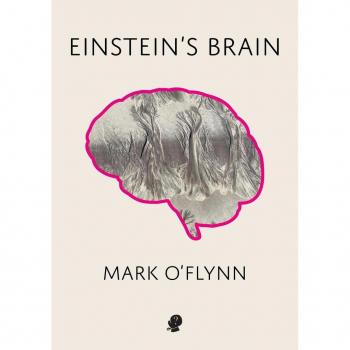 Einstein's Brain