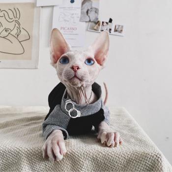 Trendy Base Shirt Autumn Summer Cat Clothes