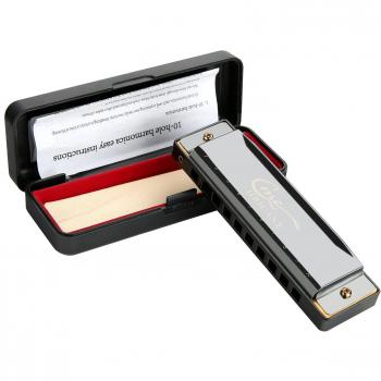 Harmonica Hricane 10 trous pour débutants et joueurs expérimentés avec étui et chiffon