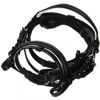 Trensenzaum mit schwarz-weißer Pony-Farbe