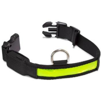 Collar Luminoso LED para Perros