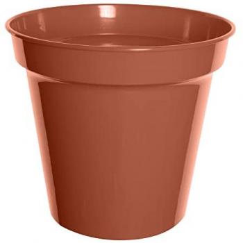 Whitefurze G04022 20cm Terracotta Planter