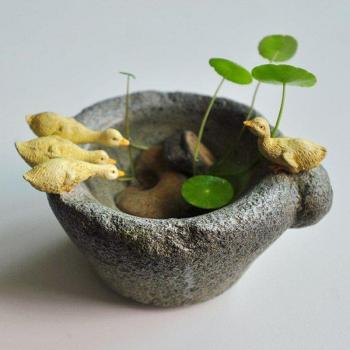 Mortier à fleurs – Mini bonsaï d'extérieur