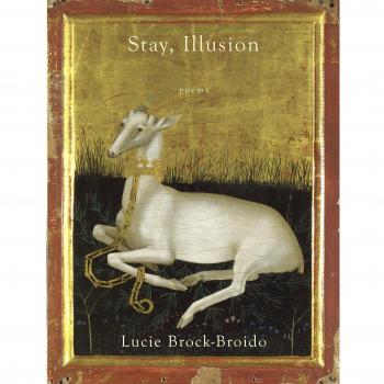 Stay, Illusion : Poems