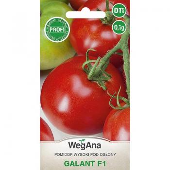 Germes Tomate Haute Galant F1 0,1 g – WegAna