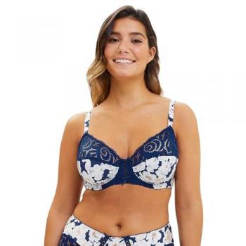 Brasier à armatures bleues