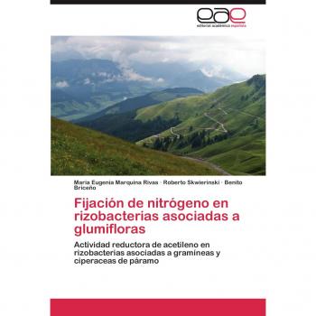 Fijación de nitrógeno en rizobacterias asociadas a glumifloras: Actividad reductora de acetileno en rizobacterias asociadas a gramíneas y ciperaceas de páramo