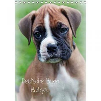 Deutsche Boxer Babys...