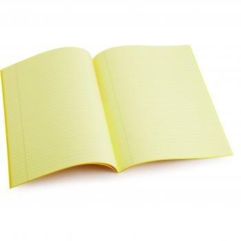 Pack of 10 Dyslexia Tinted Exercise Books
