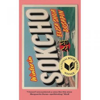 Winter in Sokcho Elisa Shua Dusapin Paperback