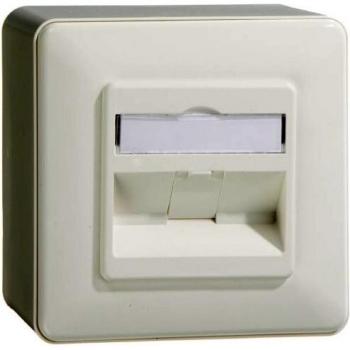 Presa di rete modulare C6A 1 Port 270°M da incasso Metz Connect