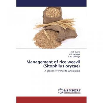 Management of rice weevil (Sitophilus oryzae)