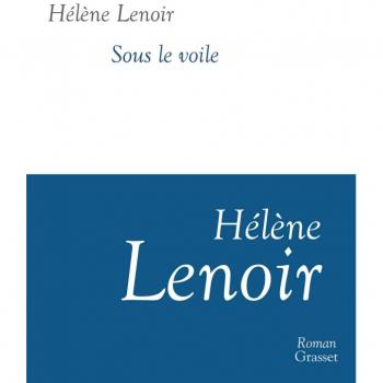 Sous le voile: roman