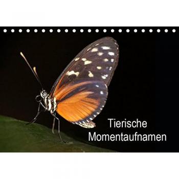 Tierische Momentaufnahmen