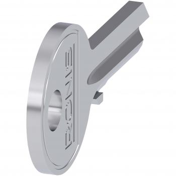 Chiave Domotica Siemens 455