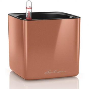 Pot Automatique Lechuza Cube 14 cm
