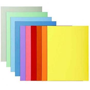 Chemises rigides pour documents importants