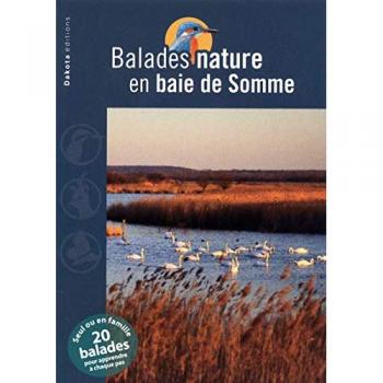 Balades nature en Baie de Somme 2011