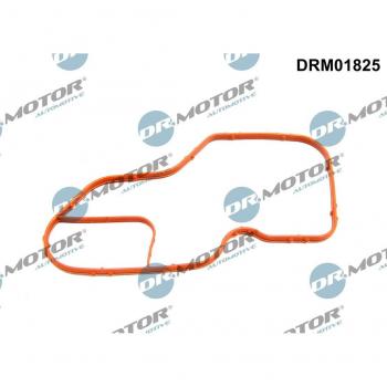 Gasket for Thermostat Housing DRM01825
