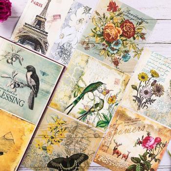 Vintage Bird Scrapbooking Vellum Paper Pack