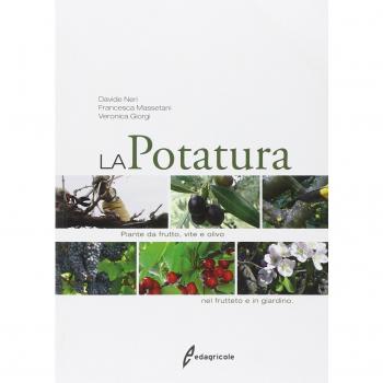 La potatura. Piante da frutto, vite e olivo. Nel frutteto e in giardino