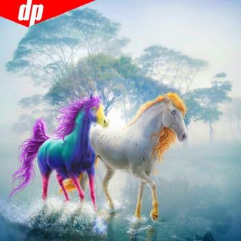 Roi des Galets 5D Peinture