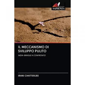 IL MECCANISMO DI SVILUPPO PULITO: INDIA-BRASILE A CONFRONTO