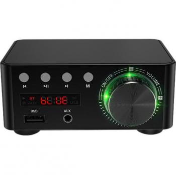 50W Mini Klasse D HiFi Verstärker