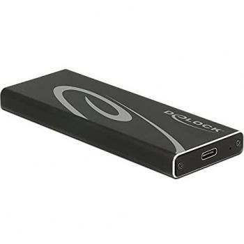 DELOCK Schwarz M.2 SSD Gehäuse 2.5 USB 3.1 Gen 2